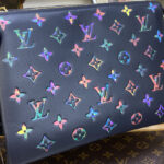 Louis Vuitton Coussin MM M21204 M21209